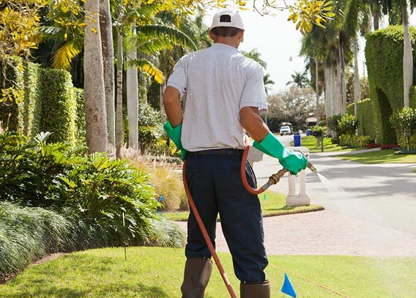 About Gresham NE Pest Control